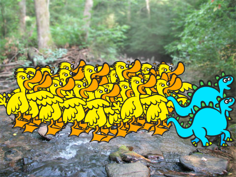 duck attack!!!!!