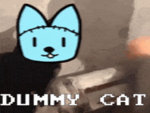Dummy Cat