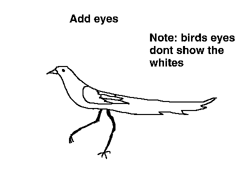 bird drawing tutorial