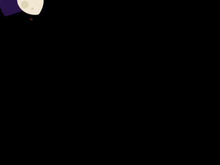 flashlght overlay