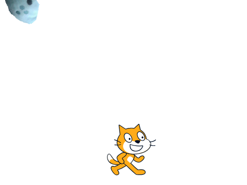 Catch the Cat!