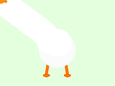 Goose