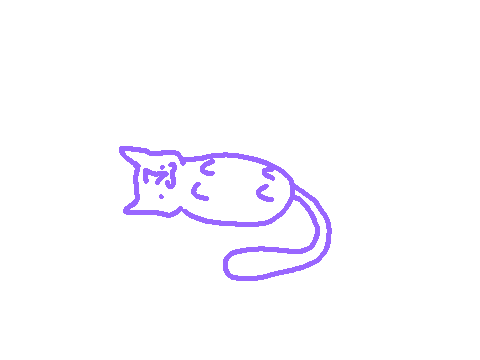Beans the flumping cat