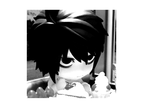  (\  ☓  order   ︶   bin   ៶៸ 