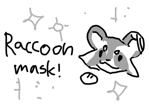 raccoon mask :))