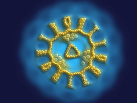 Particle Lenia