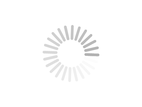 Spin Progress Indicator