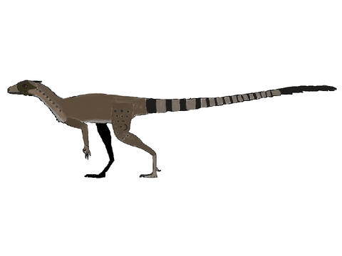 Lagosuchus in Kleki