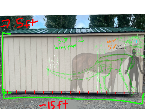 willow/me size comparions!