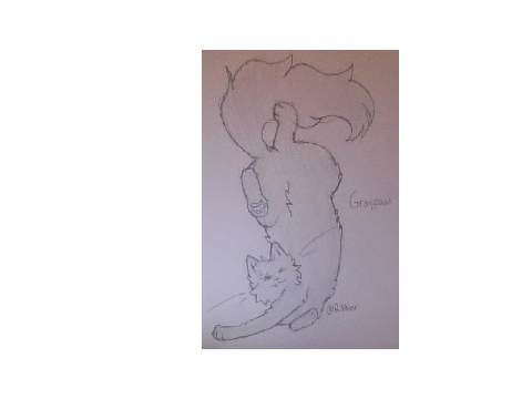 silly Graypaw because I can