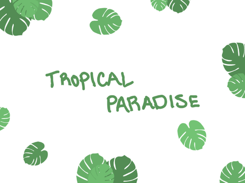 Tropical Paradise