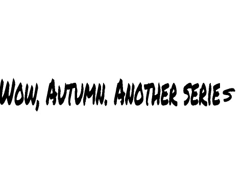Into The Wild auditions (Episode 1) remix