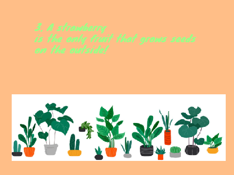 Learn About Earth Day!