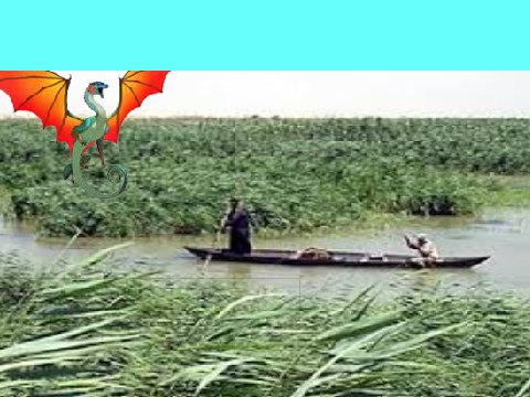 THE GLORY RIVER (if u know u know :3)