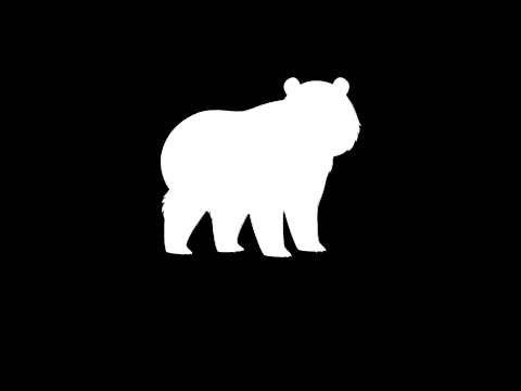 bear will not adventure