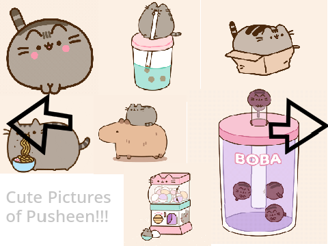 Cute pictures of Pusheen!!!