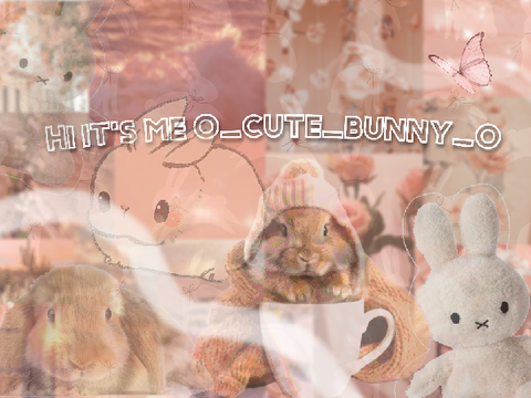 Banner for @O_cute_bunny_O