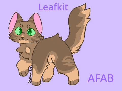 `` Only Starclan knows where the wind will take me `` A Selective Willowclan litter APP