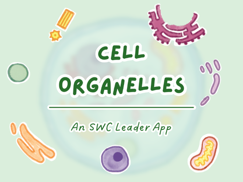 (Bangsian!!) Cell Organelles | Recca's SWC Leader Application
