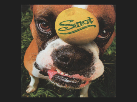 stoopid - snot