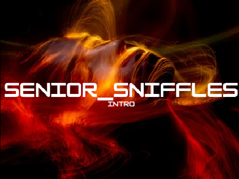 Intro for Senior_Sniffles