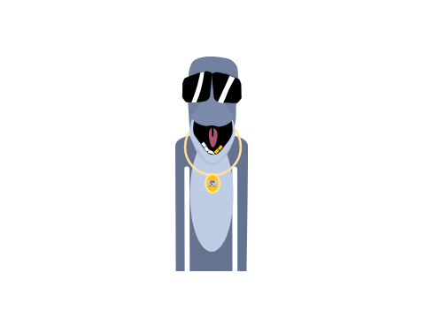 Mr bling bling
