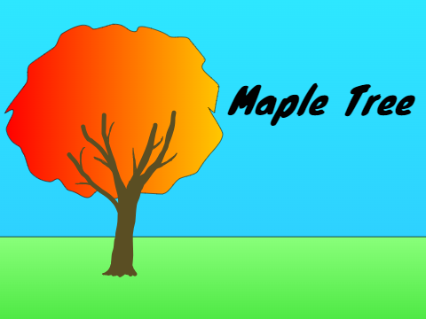 Maple Tree