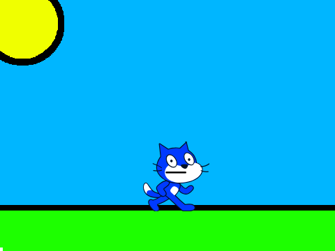 watch cat