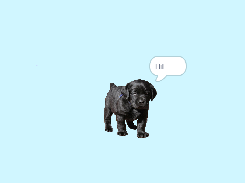 "Therapy" Puppy