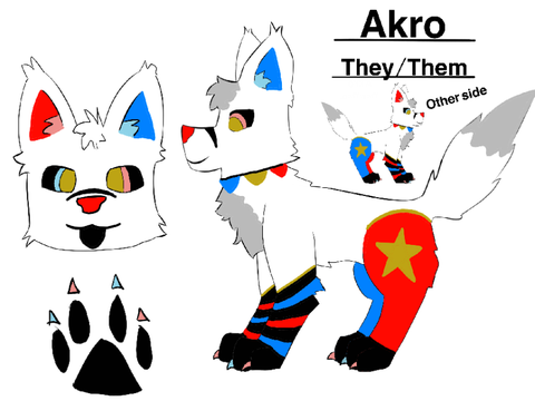 TLOTC ~CAMEO~ Akro!