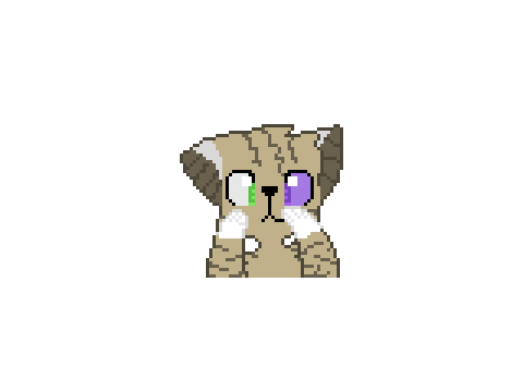 Happy Birthday Panther Bud! :3
