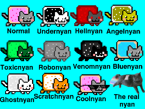 Adpot-A-Nyan!