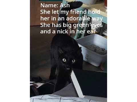 Important, please click :(