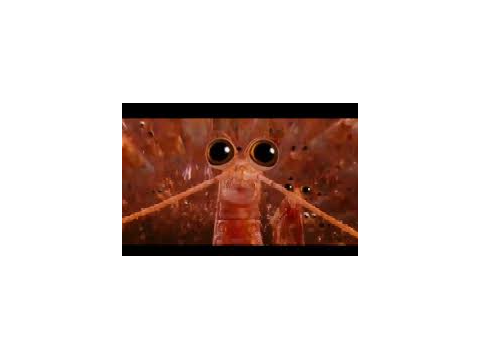 1 in a krillion