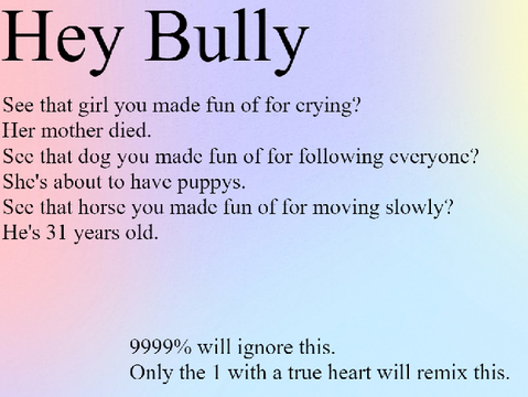 Hey Bully! remix