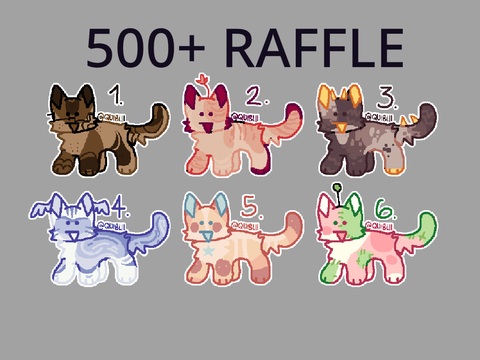 500+ DESIGN RAFFLE
