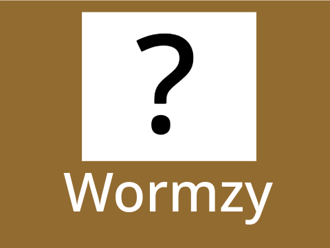 Wormzy⬦