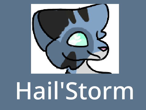 Hail'Storm ♡