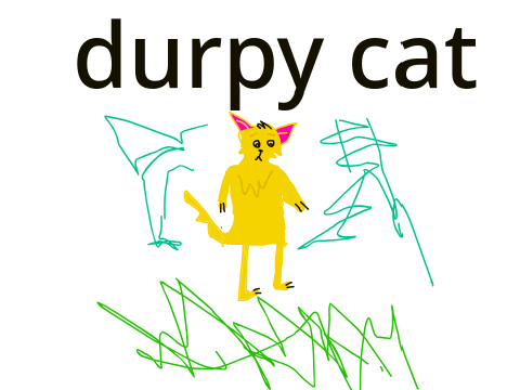 durpy cat