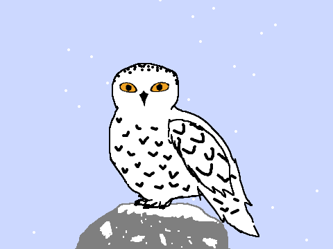 Hedwig!!
