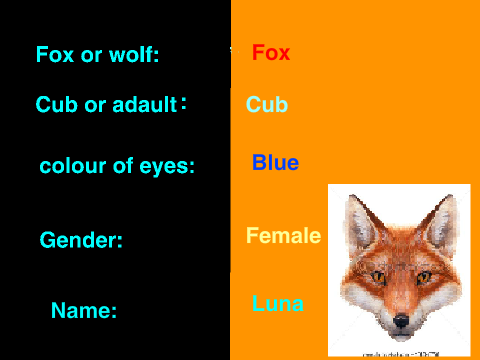 My Fox Sign Up- Luna