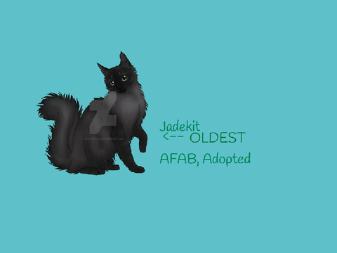 || A Jadekit Application || 
