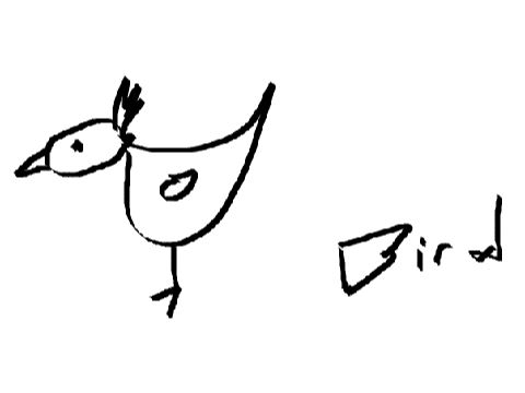Bird