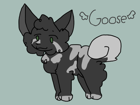 ` `A little goose` ` A semi-selective Uc litter! WOOHOO!
