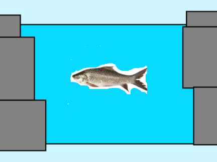 FRESHWATER