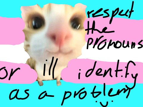 problem pronouns