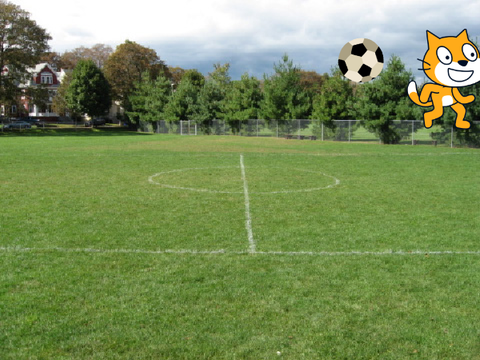 Soccer Cat