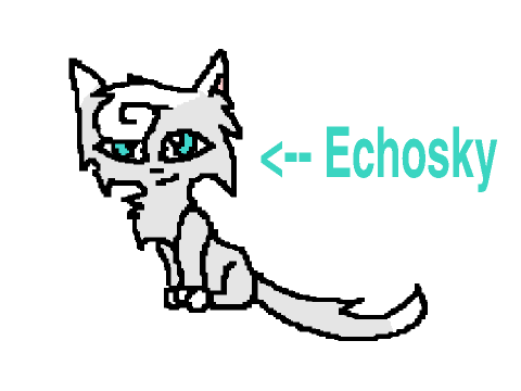 Echosky Intro
