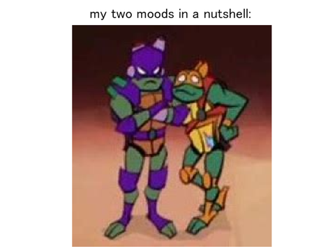more rottmnt memes because yes