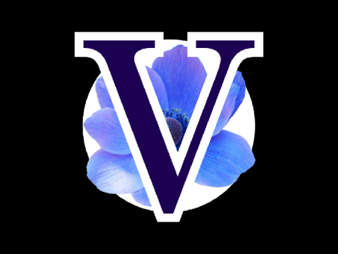 ロゴ依頼(Vriegist様)